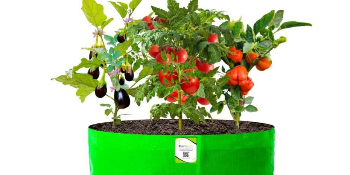 Understanding Planter Bags: A Modern Solution for Growing Plants