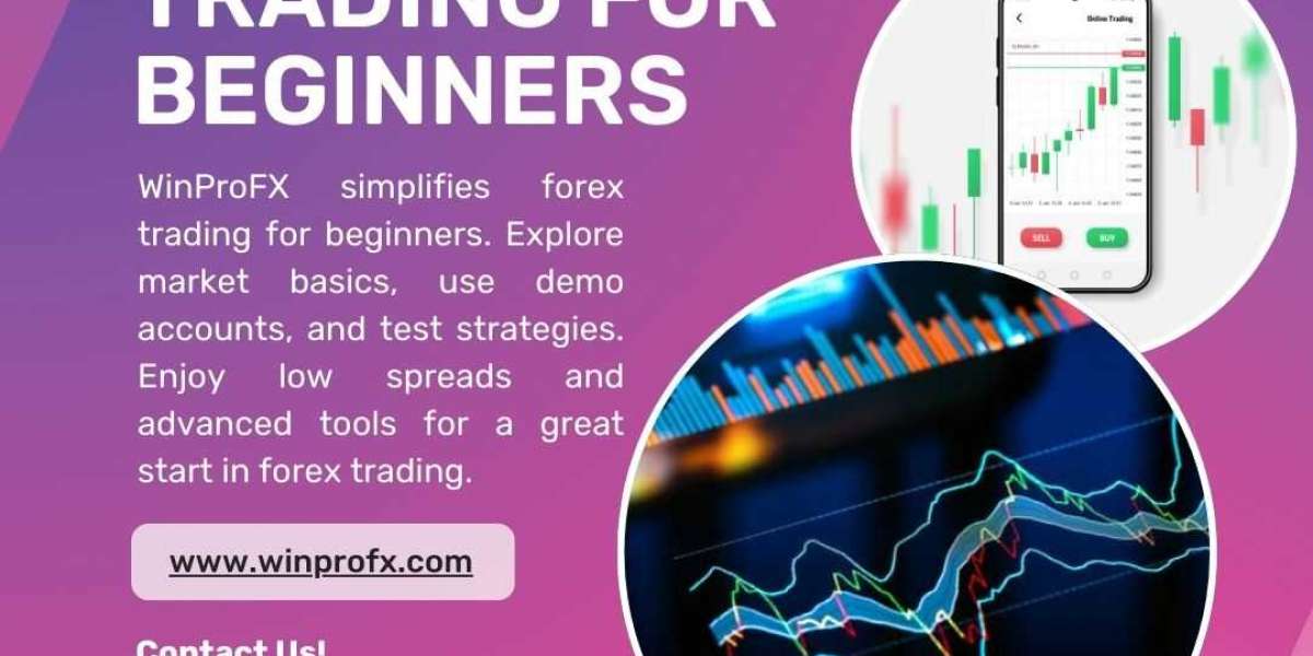 How to Manage Risk When Trading Forex?
