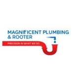 Magnificent Plumbing