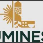 Luminestcanada