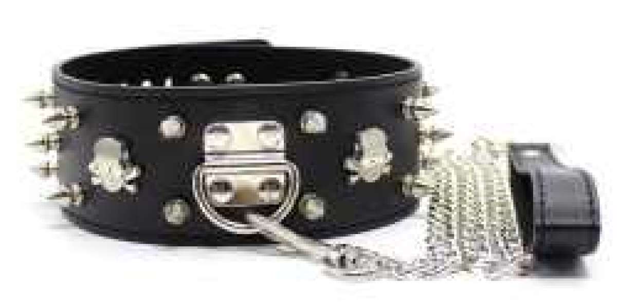 strict leather premium armbinders zipper co407